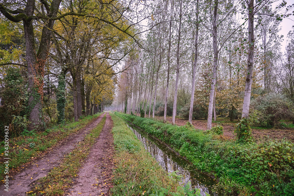 Naklejka premium Country road close to an irrigation ditch in a natural park during autumn