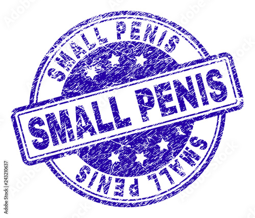 SMALL PENIS stamp seal imprint with distress texture. Designed with rounded rectangles and circles. Blue vector rubber print of SMALL PENIS text with grunge texture.