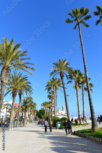 Palmen-Promenade Passeig Marítim in Sitges-Barcelona