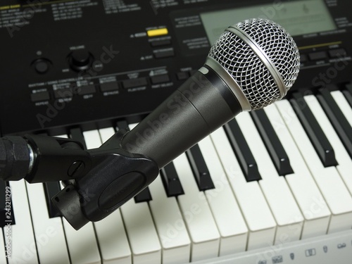 Obraz na płótnie Close-up of a dynamic handheld vocal microphone