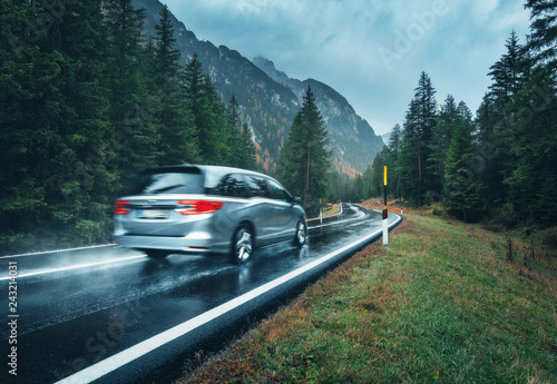Blurred car in motion on the road in autumn forest in rain. Perfect asphalt mountain road in overcast rainy day. Roadway, pine trees in italian alps. Transportation. Highway in foggy woodland. Travel
