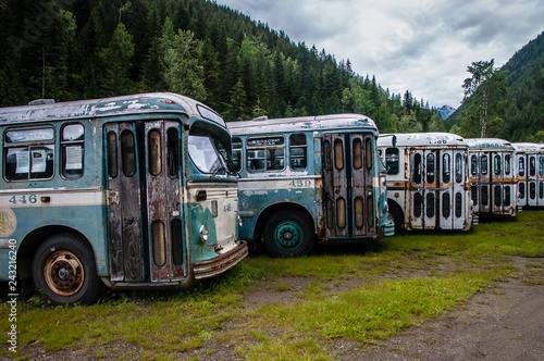 Sandon bus cemetery