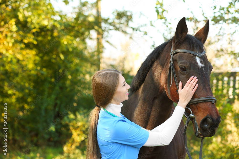 Obraz premium Veterinarian in uniform with beautiful brown horse outdoors. Space for text