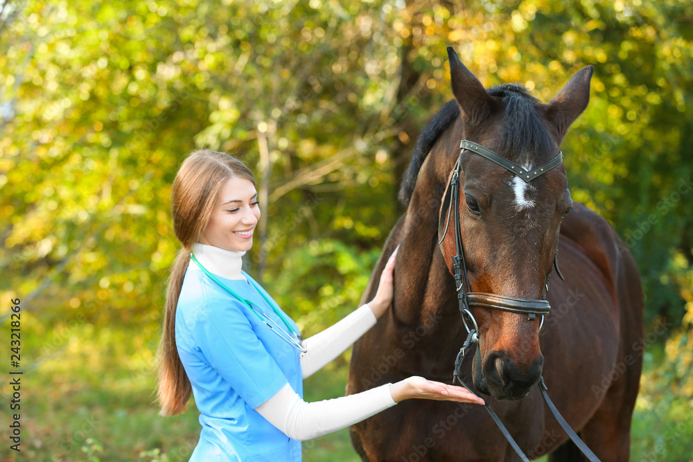 Obraz premium Veterinarian in uniform with beautiful brown horse outdoors
