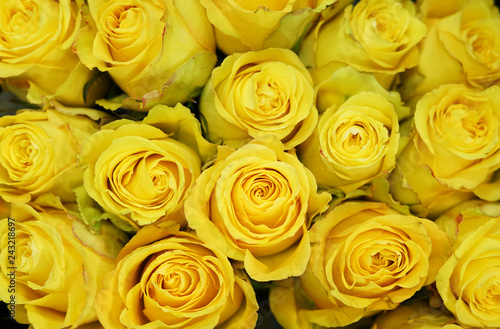 Fresh yellow roses bouquet flower background 