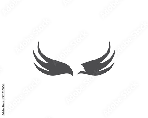 Falcon Eagle Bird Logo Template