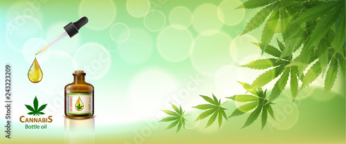 Marijuana plant and cannabis oil bottles vector.