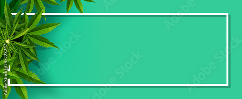 Marijuana plant and cannabis on green backgrounds.
