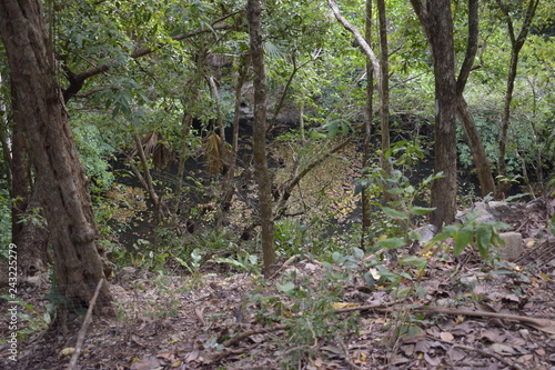 Cenote