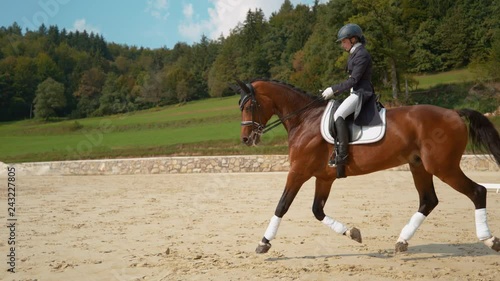 SUPER SLOW MOTION: Young English rider trotting on horseback around the manege on a sunny day in the countryside. Girl training with her beautiful brown stallion for their first dressage competition. photo