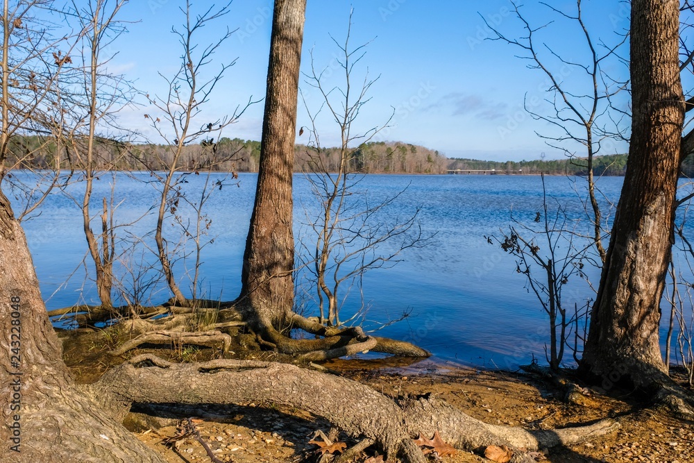 Scenic view of trees on the lakeshore by Falls Lake at Blue Jay Point County Park in Raleigh, North Carolina. Scenic view of trees on the lakeshore by Falls Lake at Blue Jay Point County Park in Raleigh, North Carolina.