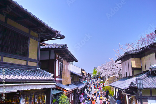 京都市東山区、桜が満開の三年坂の景観