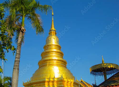 Wallpaper Mural palm tree, Golden pagoda and the golden umbrella with blue sky background. Torontodigital.ca