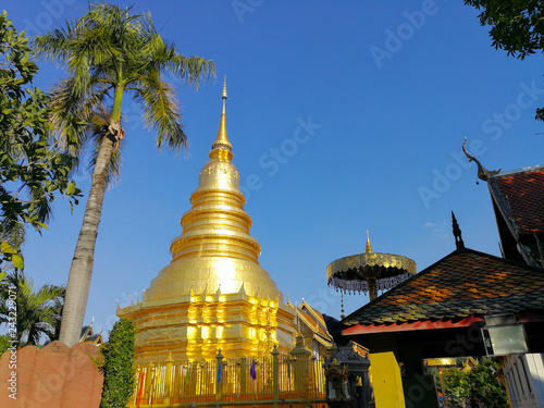 Wallpaper Mural palm tree, Golden pagoda and the golden umbrella with blue sky background. Torontodigital.ca