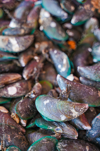 fresh mussel from seafood store