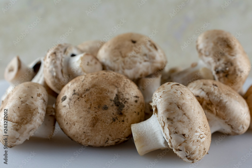 Group of mushrooms up close. White foreground. Group of mushrooms up close. White foreground.