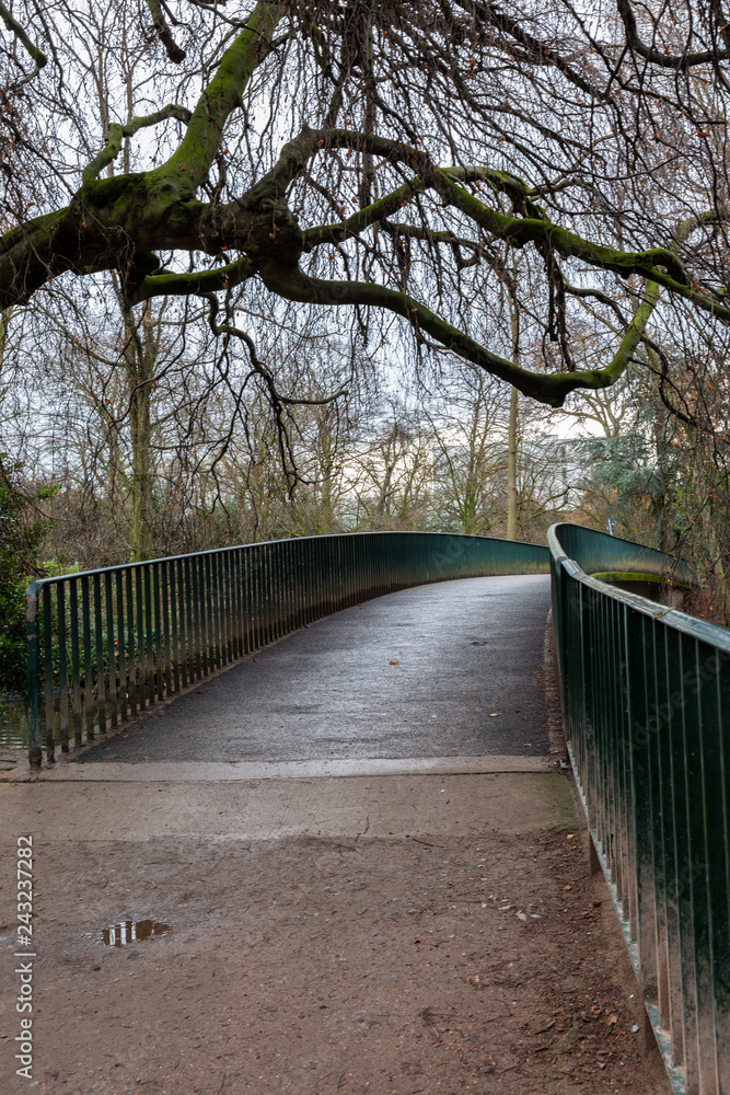 Bridge in park
