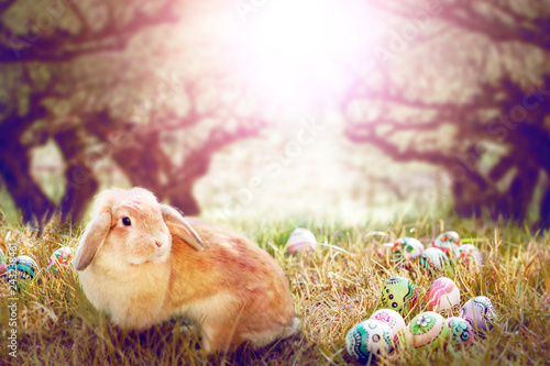 Brown Rabbit and colorful egg on beautiful light background for Easter concept