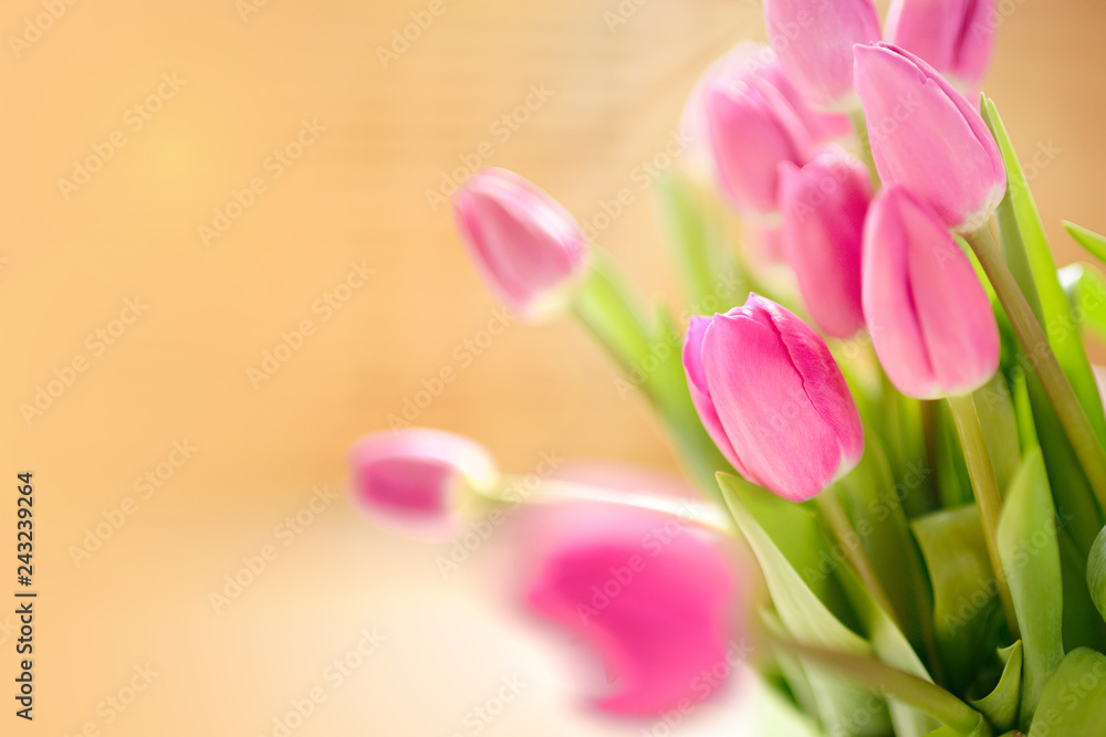 Obraz premium Fresh Pink tulips. A bouquet of spring flowers