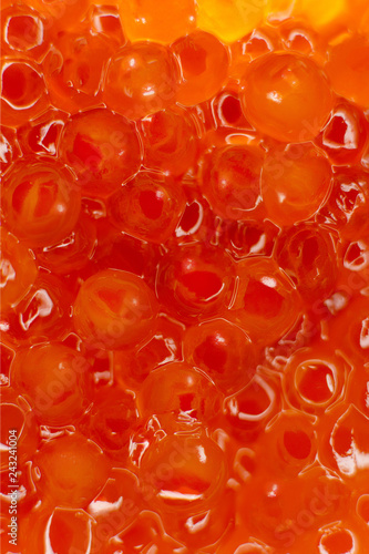 red caviar photographed close-up, glows from the inside. Oocyte of salmon fish.