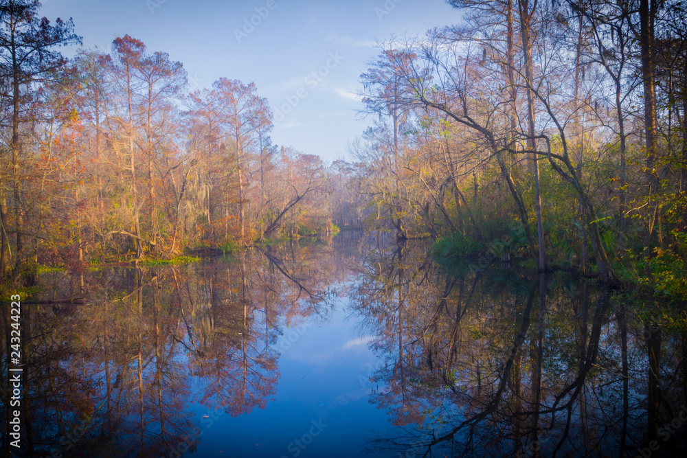 Beautiful lake hidden in the swamps of Laplace, Louisiana. 