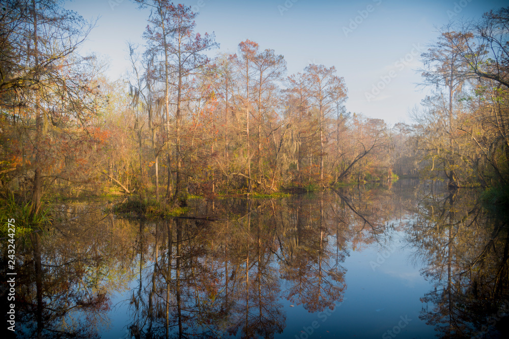 Beautiful lake hidden in the swamps of Laplace, Louisiana. 