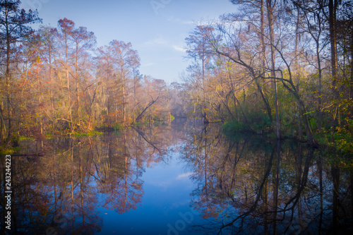 Beautiful lake hidden in the swamps of Laplace, Louisiana. 