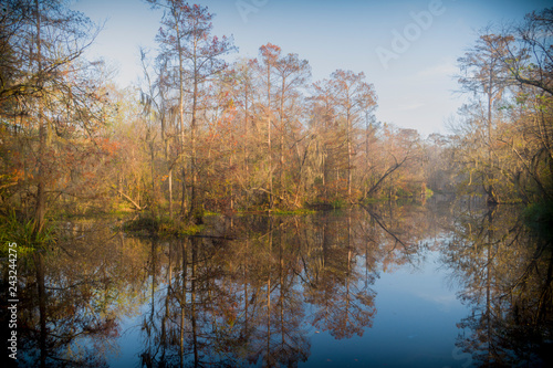 Beautiful lake hidden in the swamps of Laplace, Louisiana. 