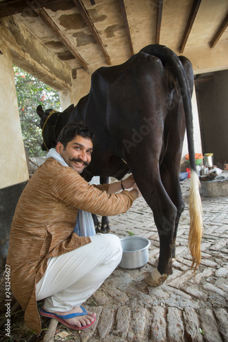 Low angle view of a smiling milkman milking a cow in cow shed.	