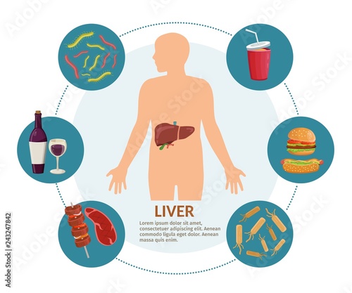 Causes of Liver Disease infographics medical background illustration