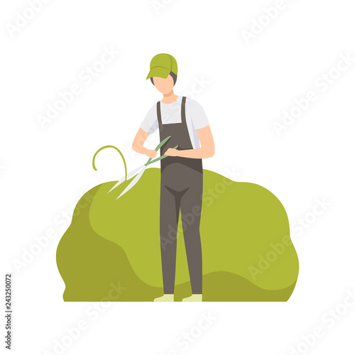 Gardener trimming a bush with clippers, man working in the garden vector Illustration
