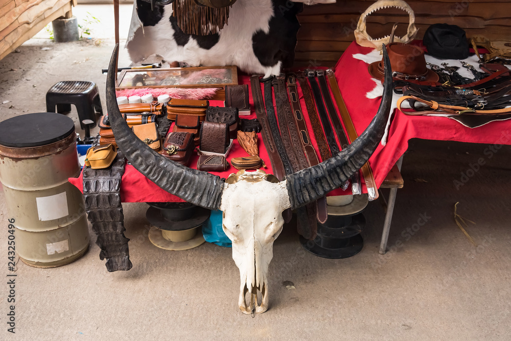 Buffalo skull in a leather shop.Thailand. Buffalo skull in a leather shop.Thailand.