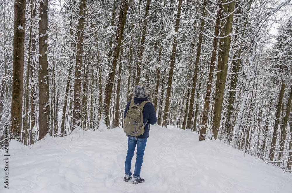 Beautiful winter day, pine tree forest,man standing backwards and watching nature. A man in a blue jacket, a fur hat with a backpack