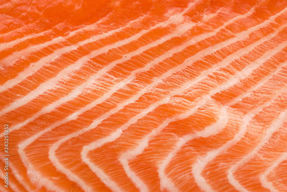 Fillet of fresh salmon, closeup Fillet of fresh salmon, closeup
