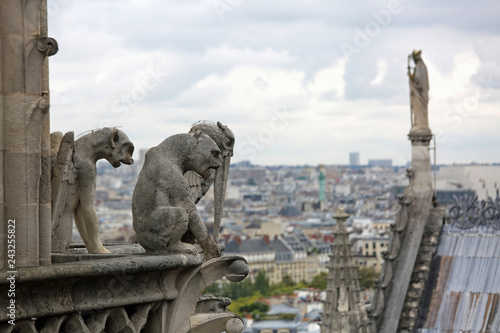 statue on th Notre Dame in Paris cathedral while observing the c