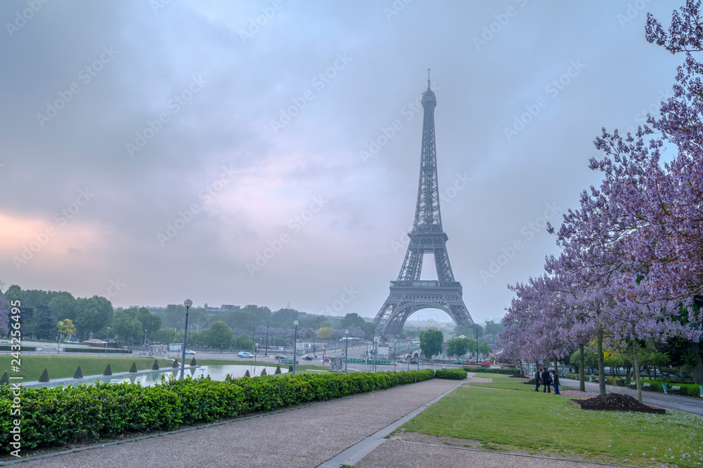 Fototapeta premium 朝のエッフェル塔