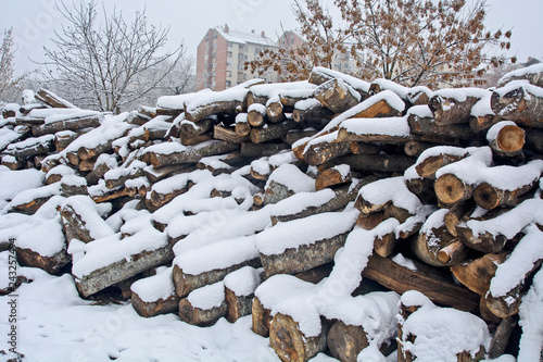 Firewood in a winter warehouse