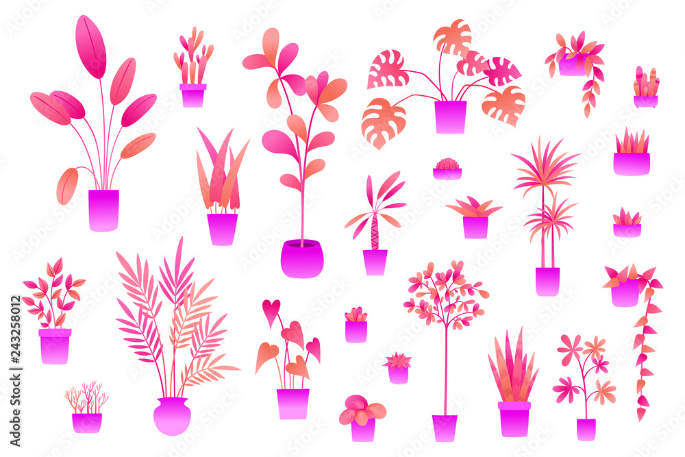 Neon flowers and plants in pots isolated on white Neon flowers and plants in pots isolated on white
