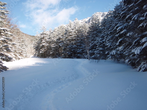 冬の八ヶ岳 ～ 雪化粧の樹林帯 © ±0