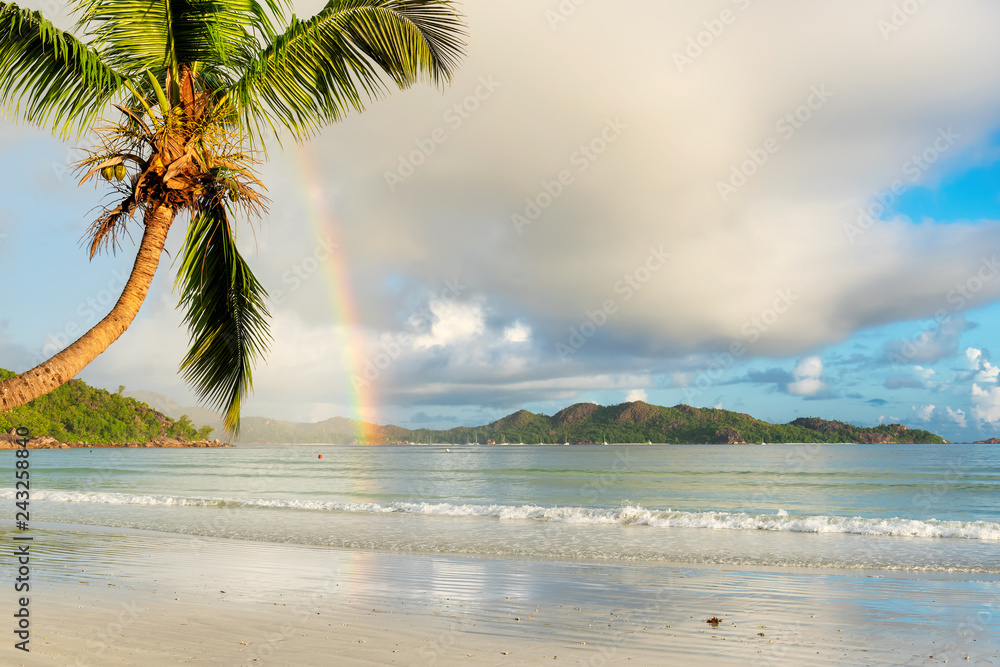 Naklejka premium Coco palma i tęcza na egzotycznej tropikalnej plaży rano na Seszelach.