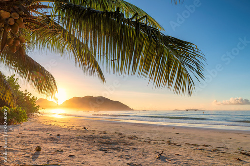 Tropical beach at sunrise with palms in Jamaica island. Summer vacation and travel concept.  