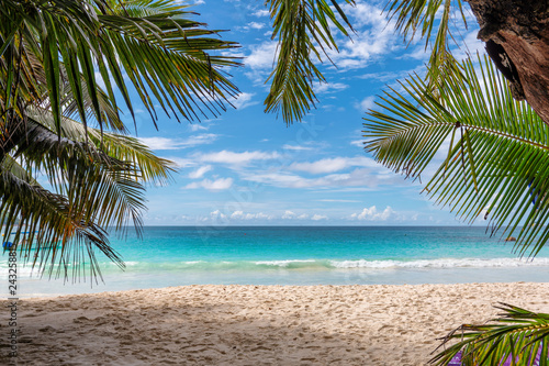 Fototapeta Naklejka Na Ścianę i Meble -  Tropical beach with palms in Seychelles. Summer vacation and travel concept.  