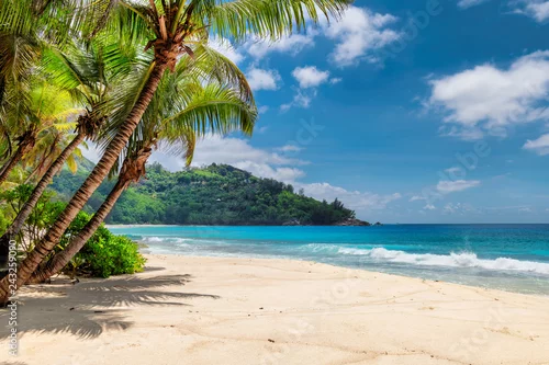 Panel kuchenny z motywem Beautiful beach with palms and turquoise sea in Jamaica island. 