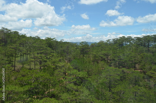 Beautiful landscape in Vietnam
