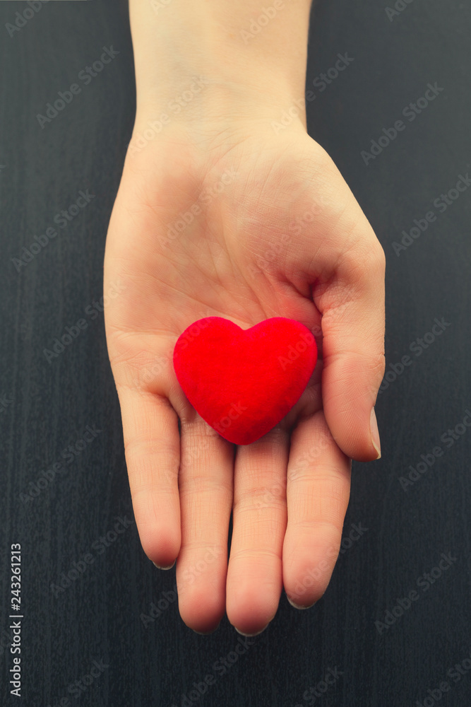 Fototapeta premium Small Red Heart