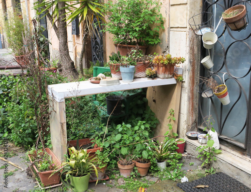 pop up garden in the streets of Rome in Italy