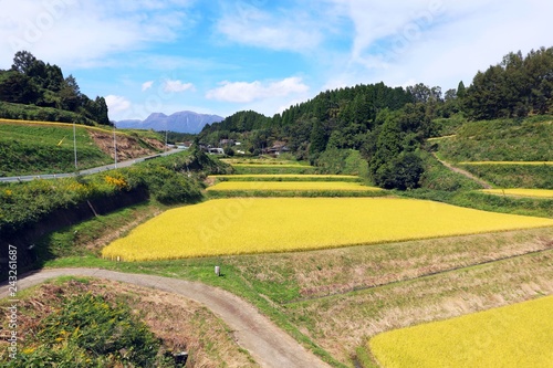 竹田市の田園風景