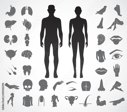 Body parts vector icon set.