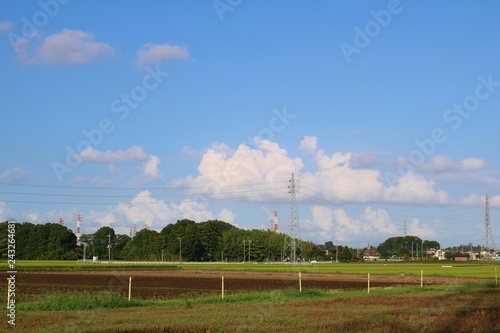 田舎の風景 夏 とちぎ