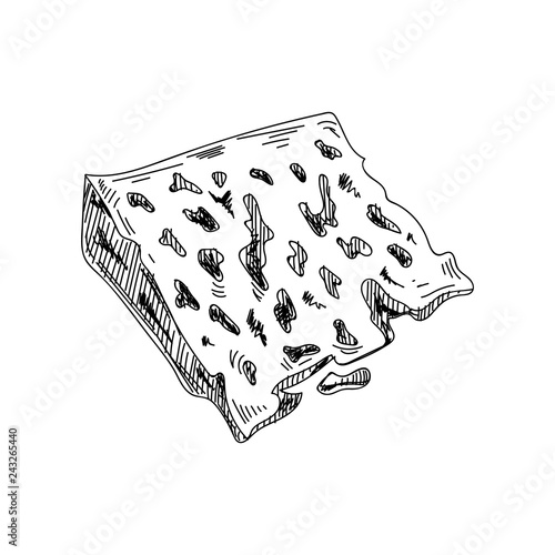 Beautiful vector hand drawn Cheese Illustration.